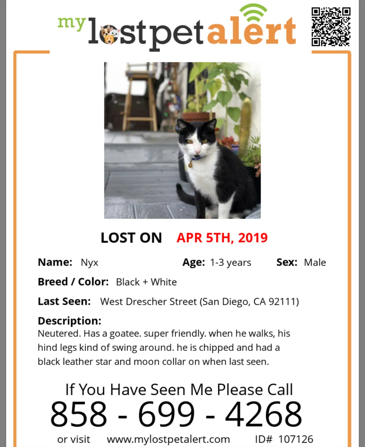 Lost cat in San Diego, CA, 92111