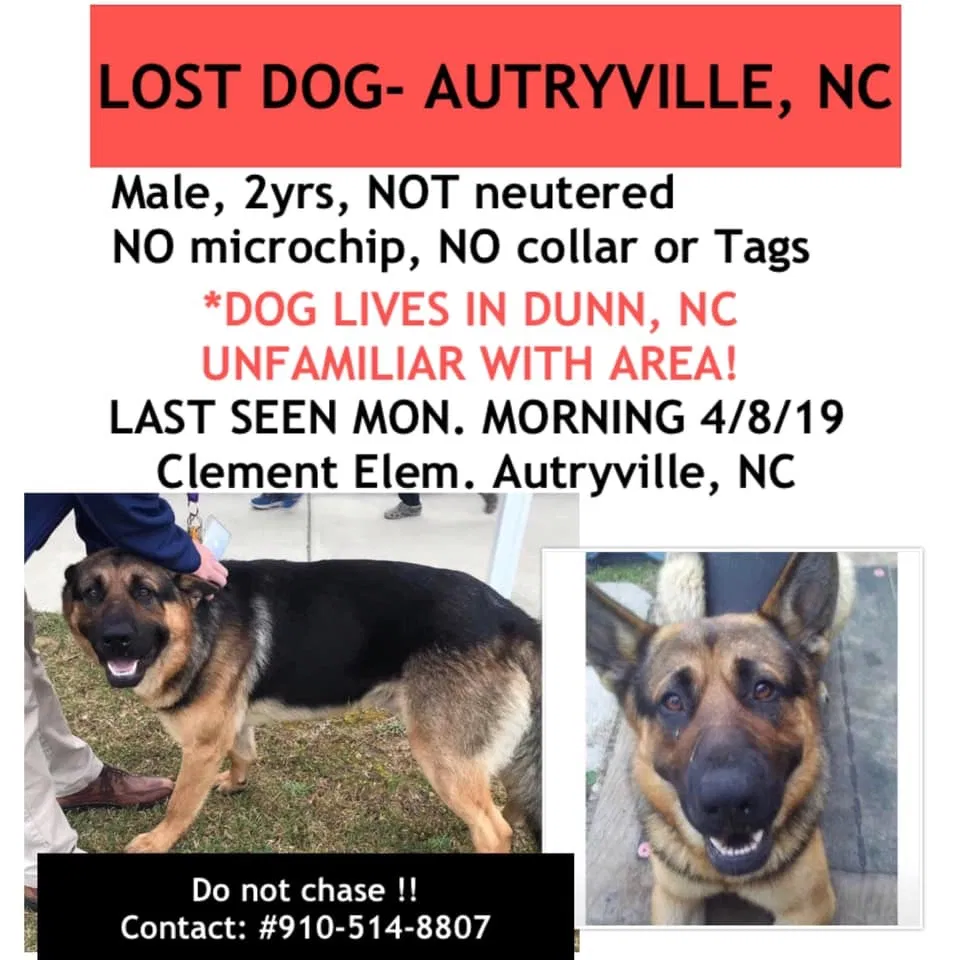 Lost dog in Autryville, NC, 28318