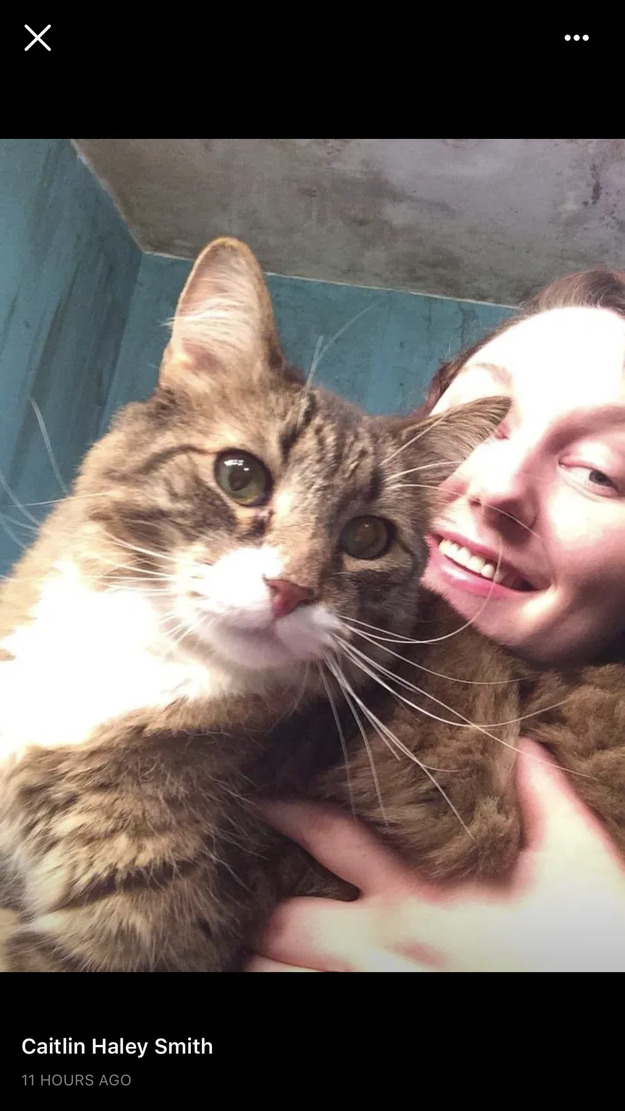 Lost cat in Roanoke, VA, 24012