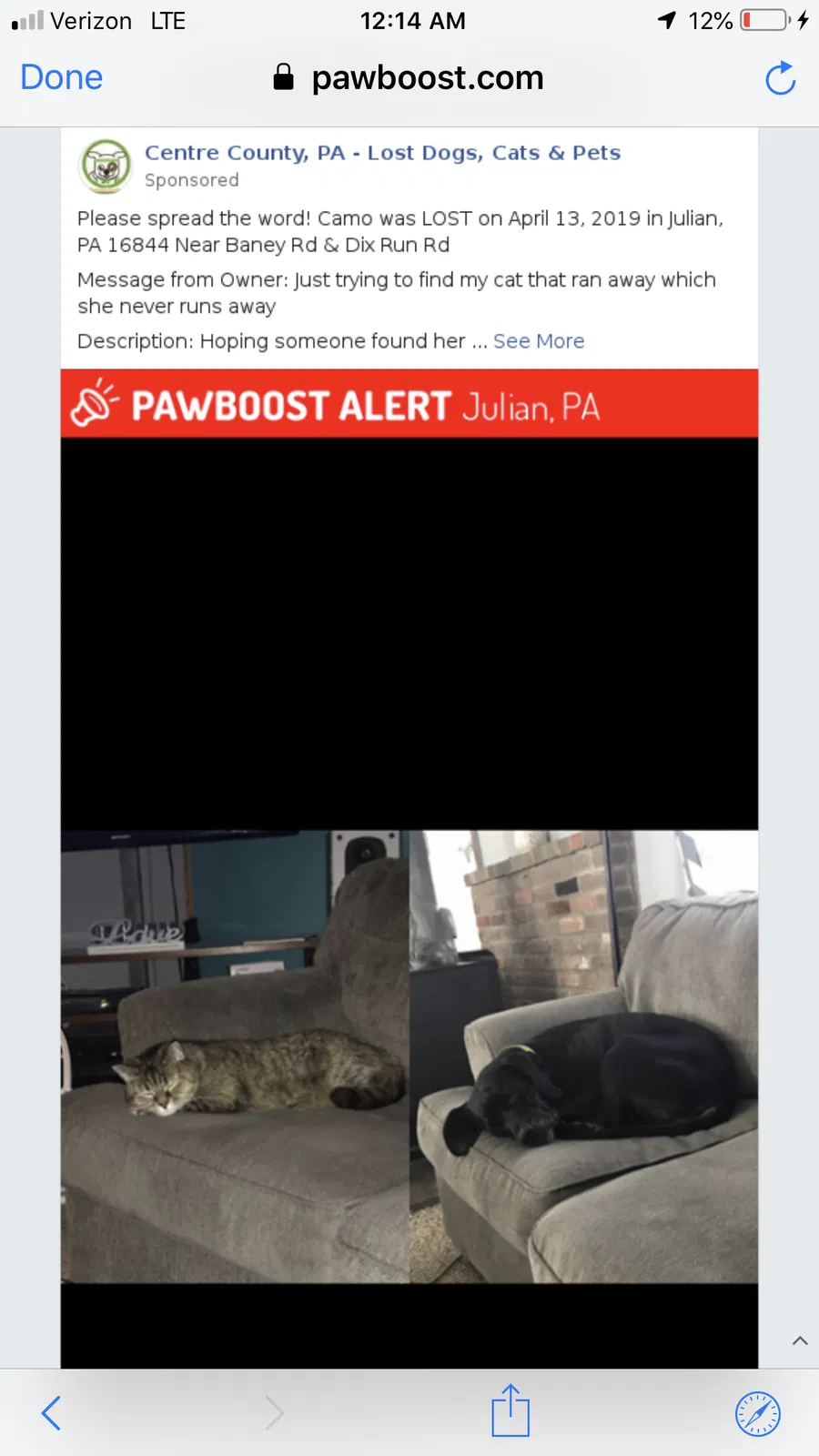Lost cat in Julian, PA, 16844