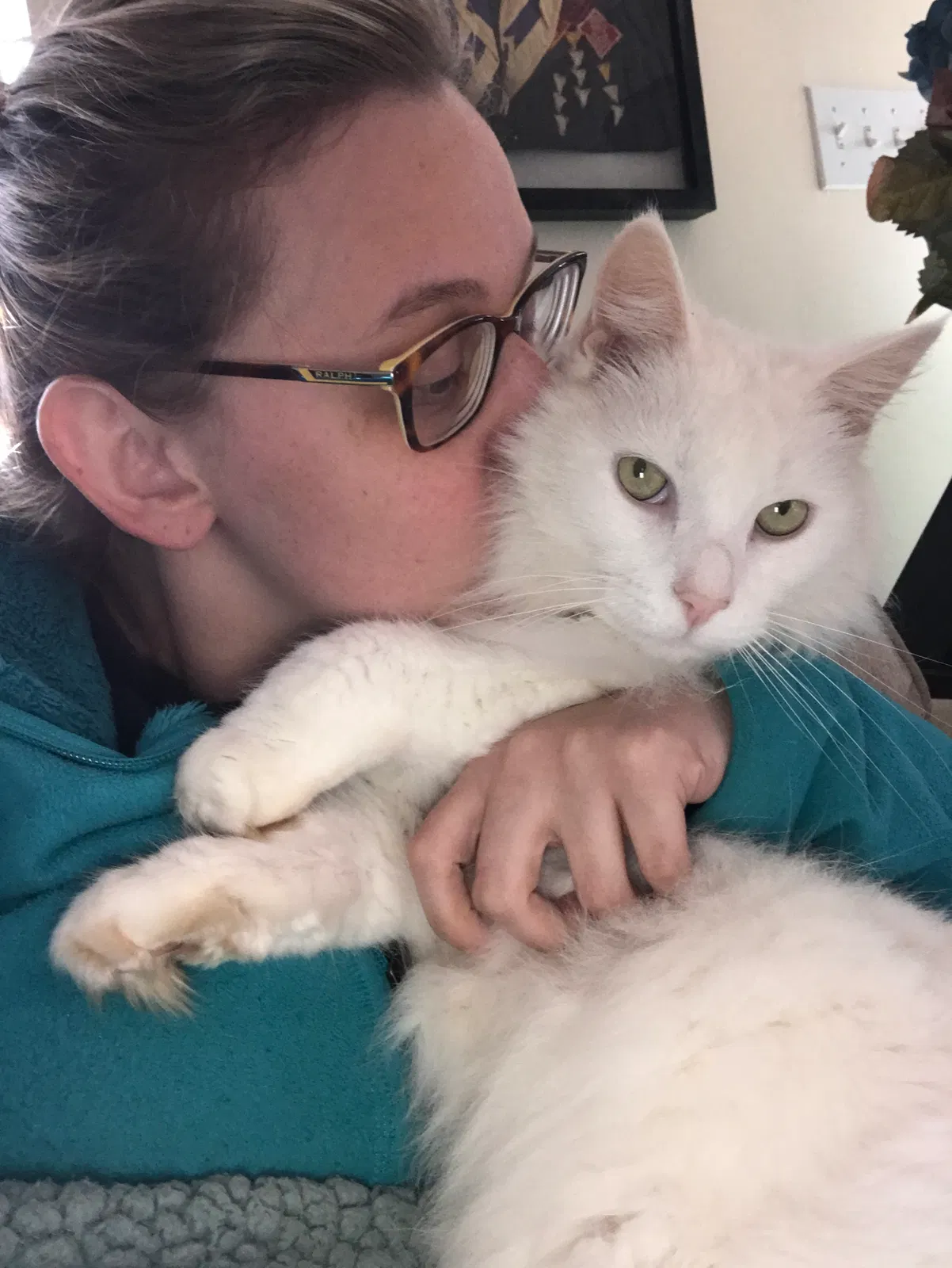 Lost cat in Boiling Springs, SC, 29316