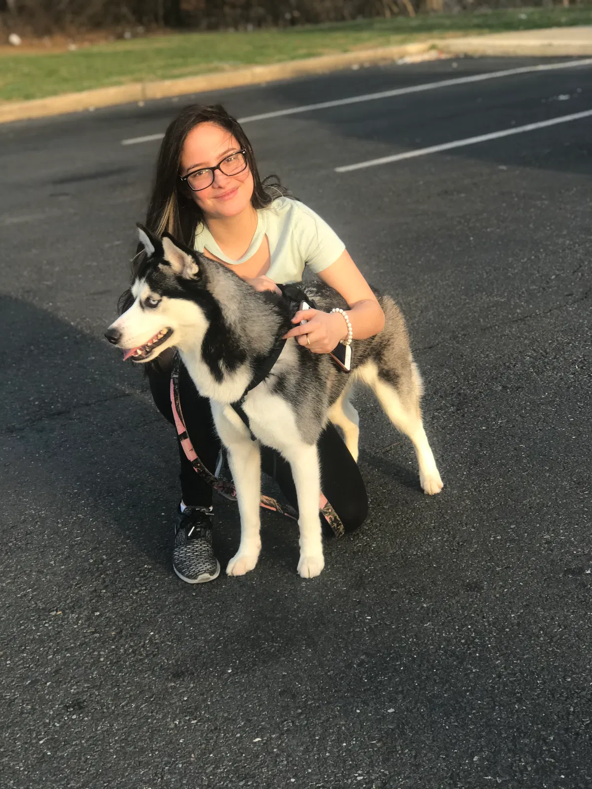 Lost dog in South River, NJ, 8882