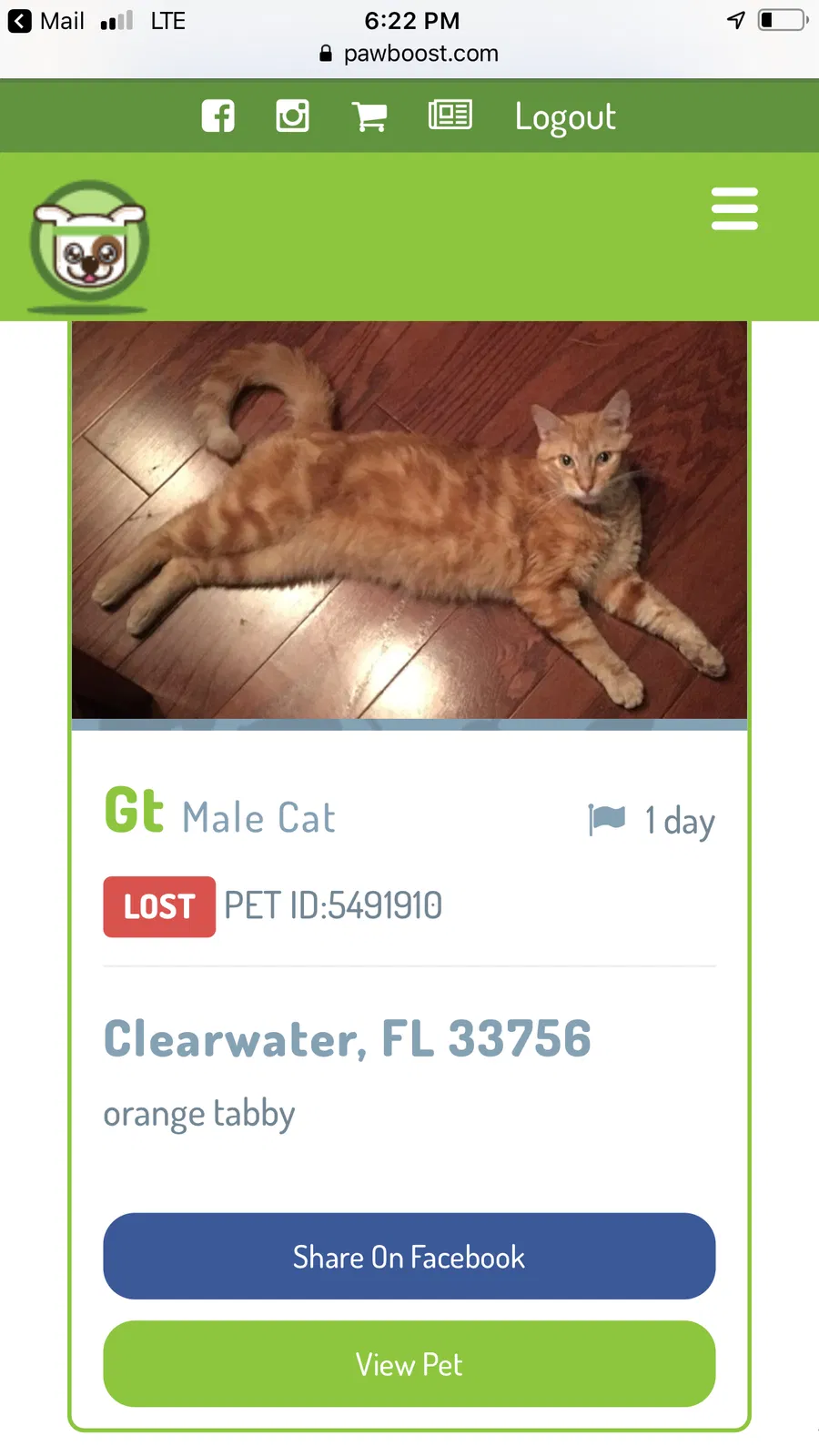Lost cat in Clearwater, FL, 33756