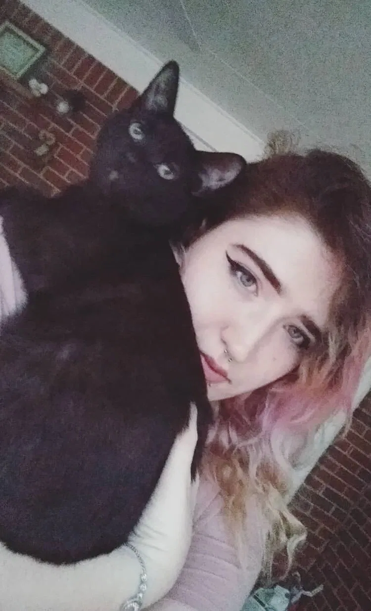 Lost cat in Lithia Springs, GA, 30122