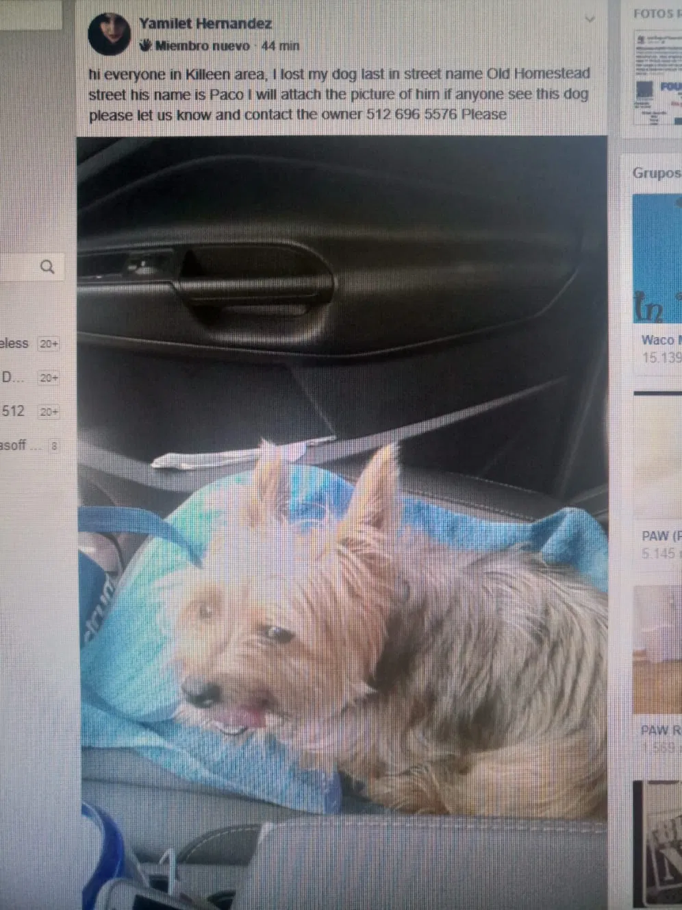 Lost dog in Killeen, TX, 76549