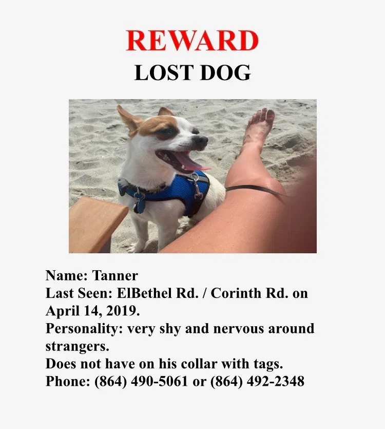 Lost dog in Gaffney, SC, 29340