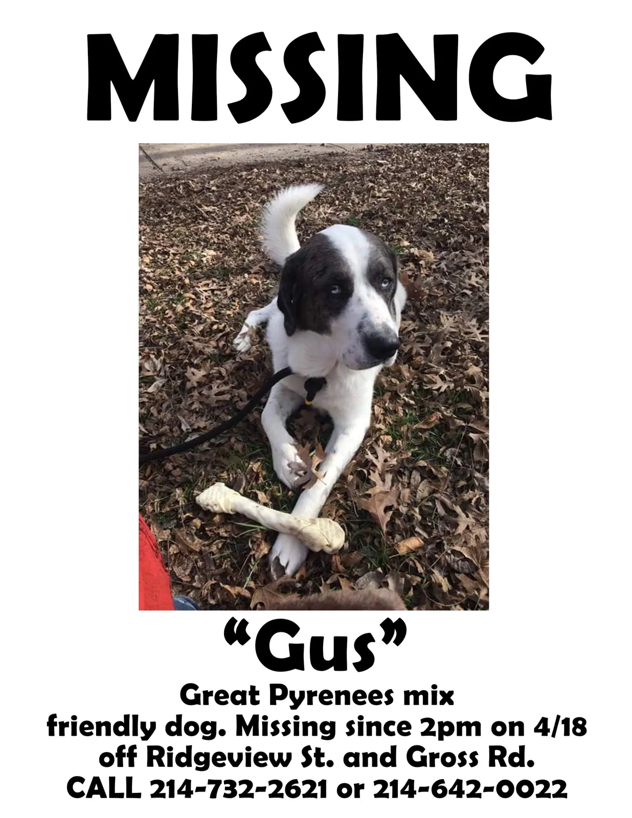 Lost dog in Mesquite, TX, 75149