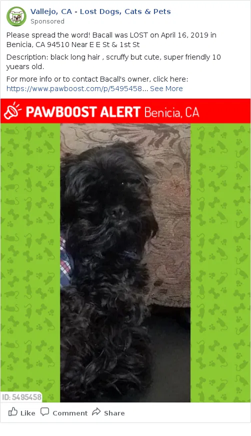 Lost dog in Benicia, CA, 94510