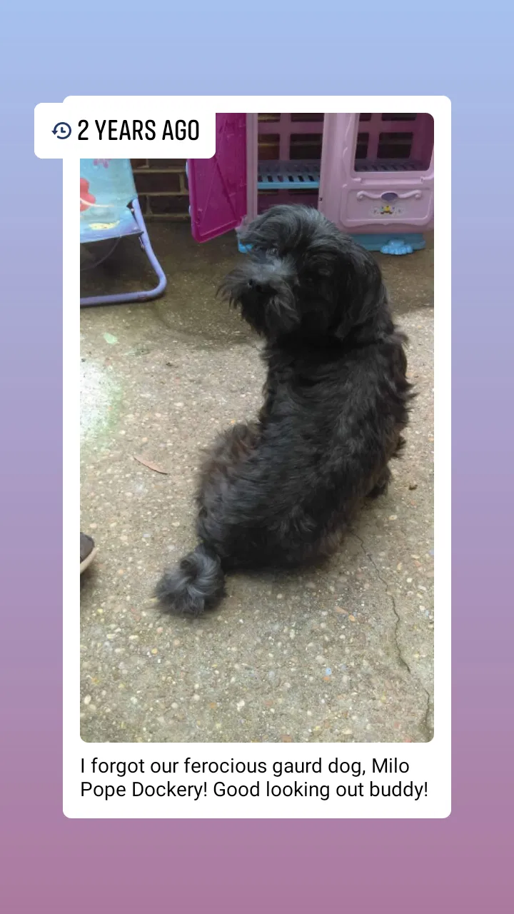 Lost dog in Cottondale, AL, 35453