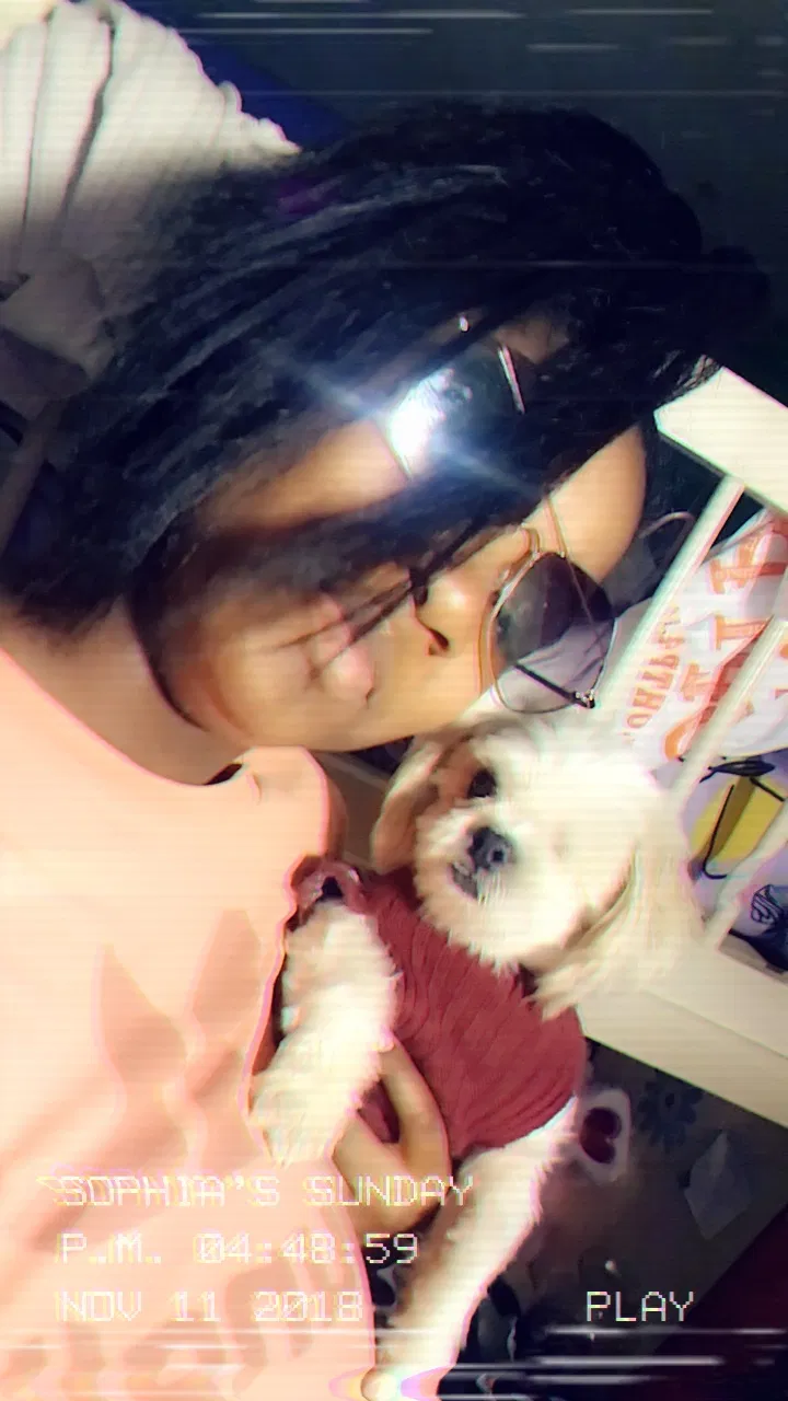 Lost dog in Little Rock, AR, 72205