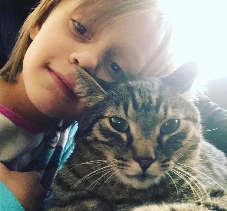 Lost cat in Minneapolis, MN, 55427