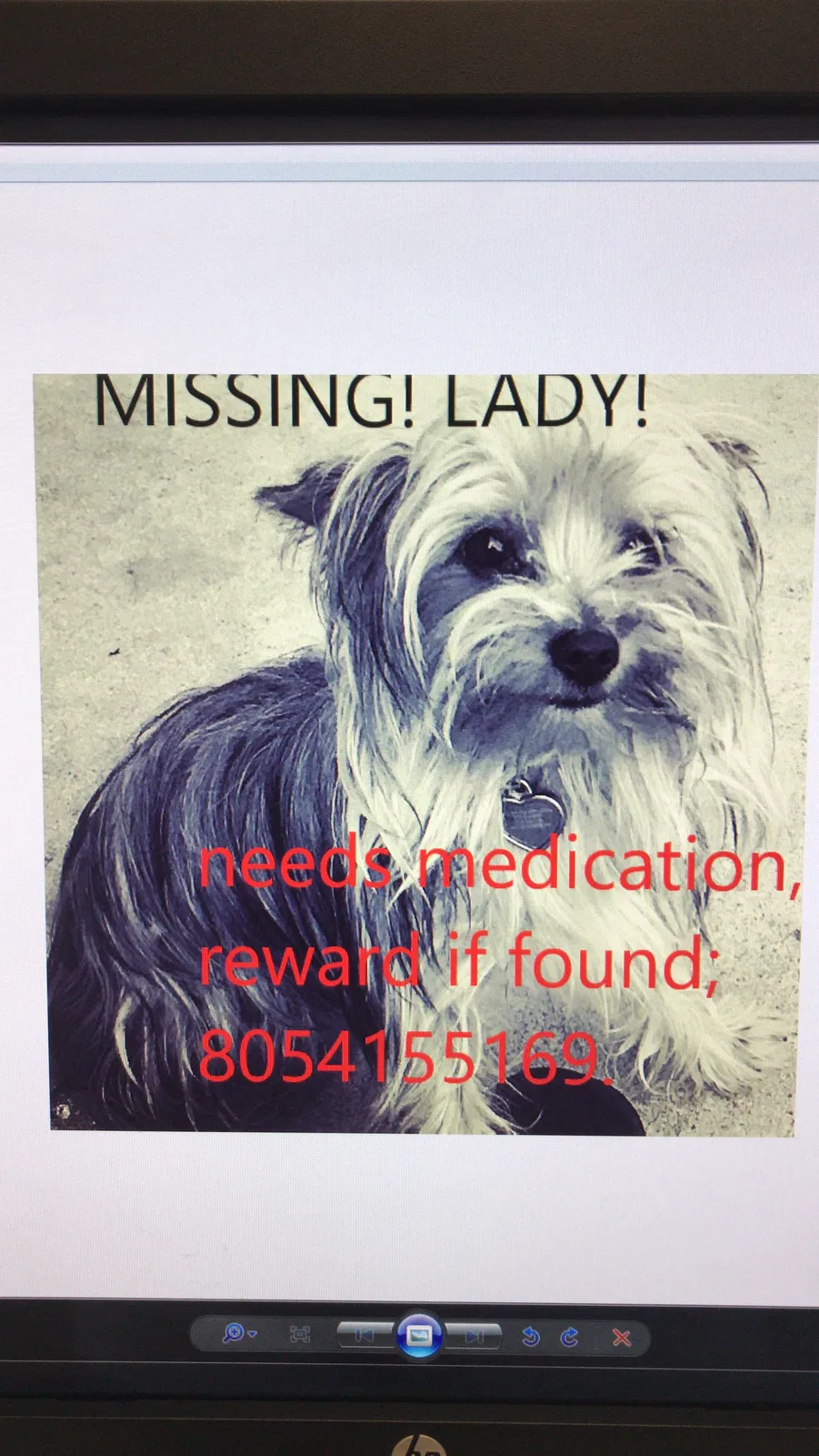 Lost dog in Oxnard, CA, 93030
