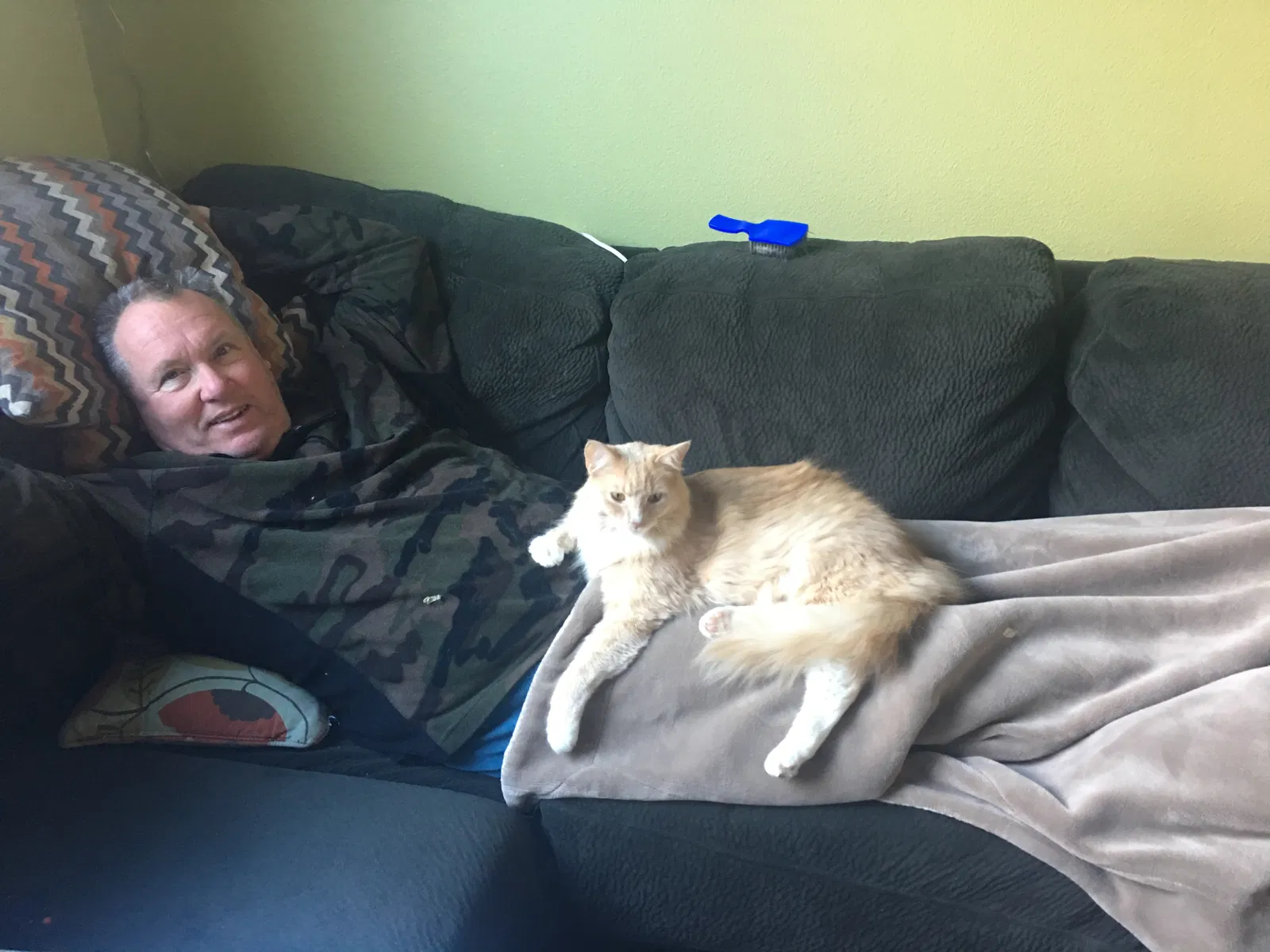 Lost cat in Unknown, CA, 0