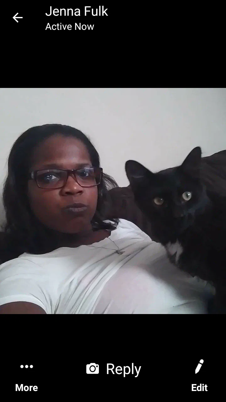 Lost cat in Indianapolis, IN, 46229