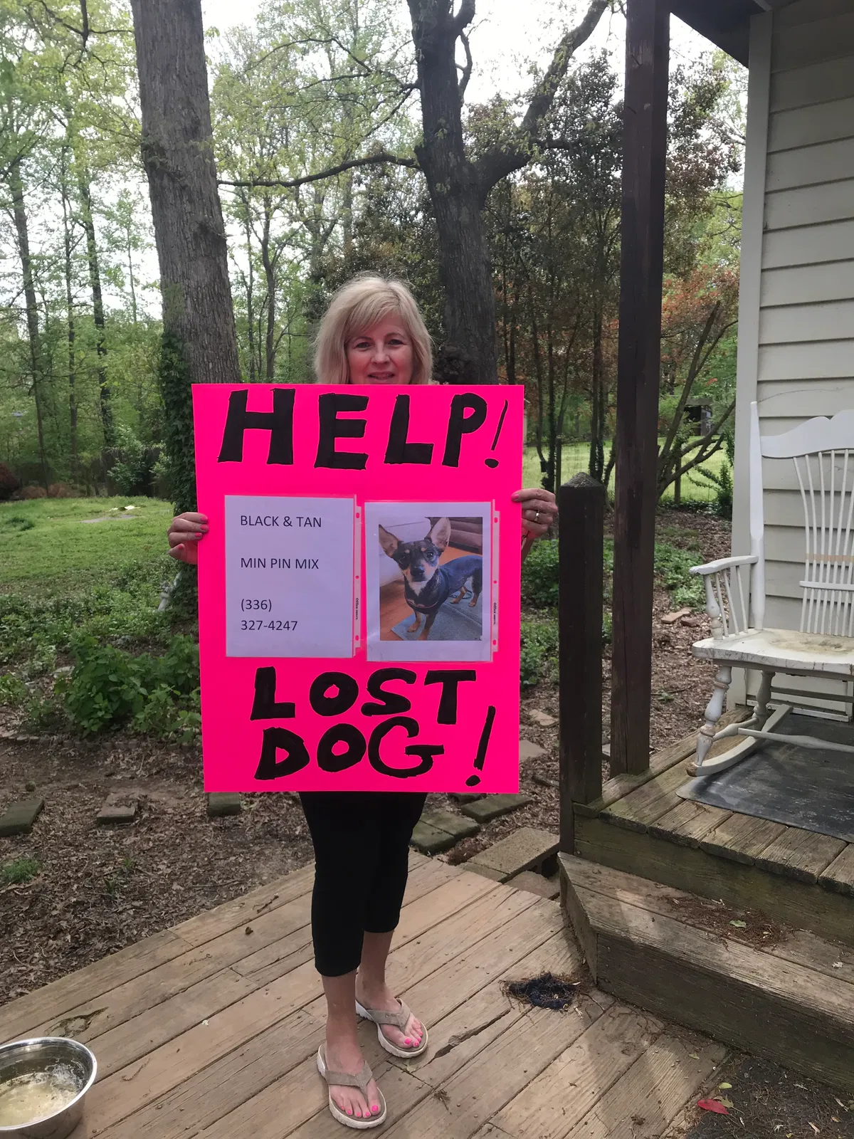 Lost dog in High Point, NC, 27265