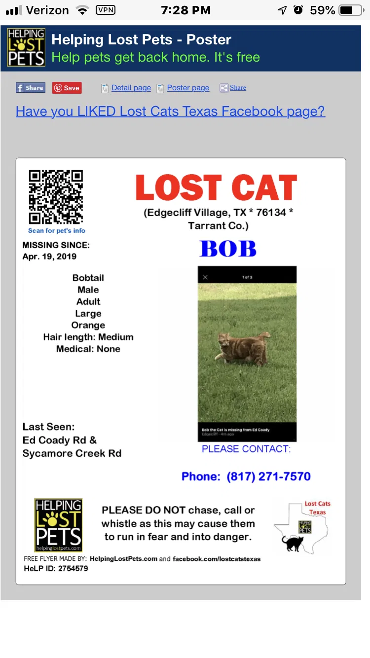 Lost cat in Fort Worth, TX, 76134