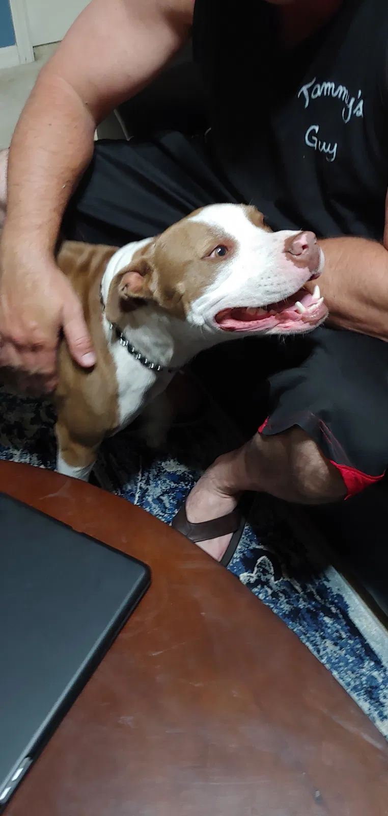 Found dog in Dunnellon, FL, 34432