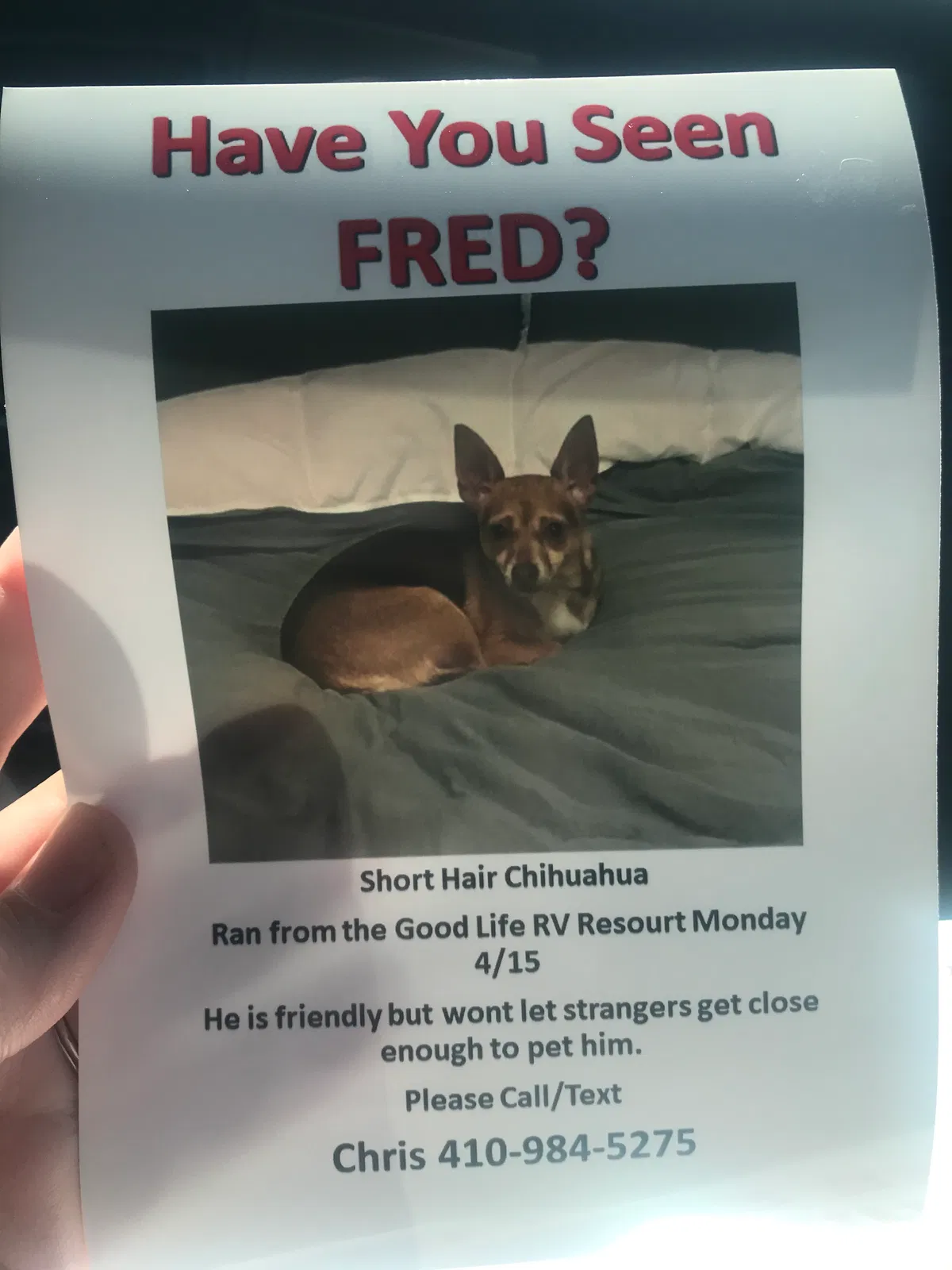 Lost dog in Bartow, FL, 33830