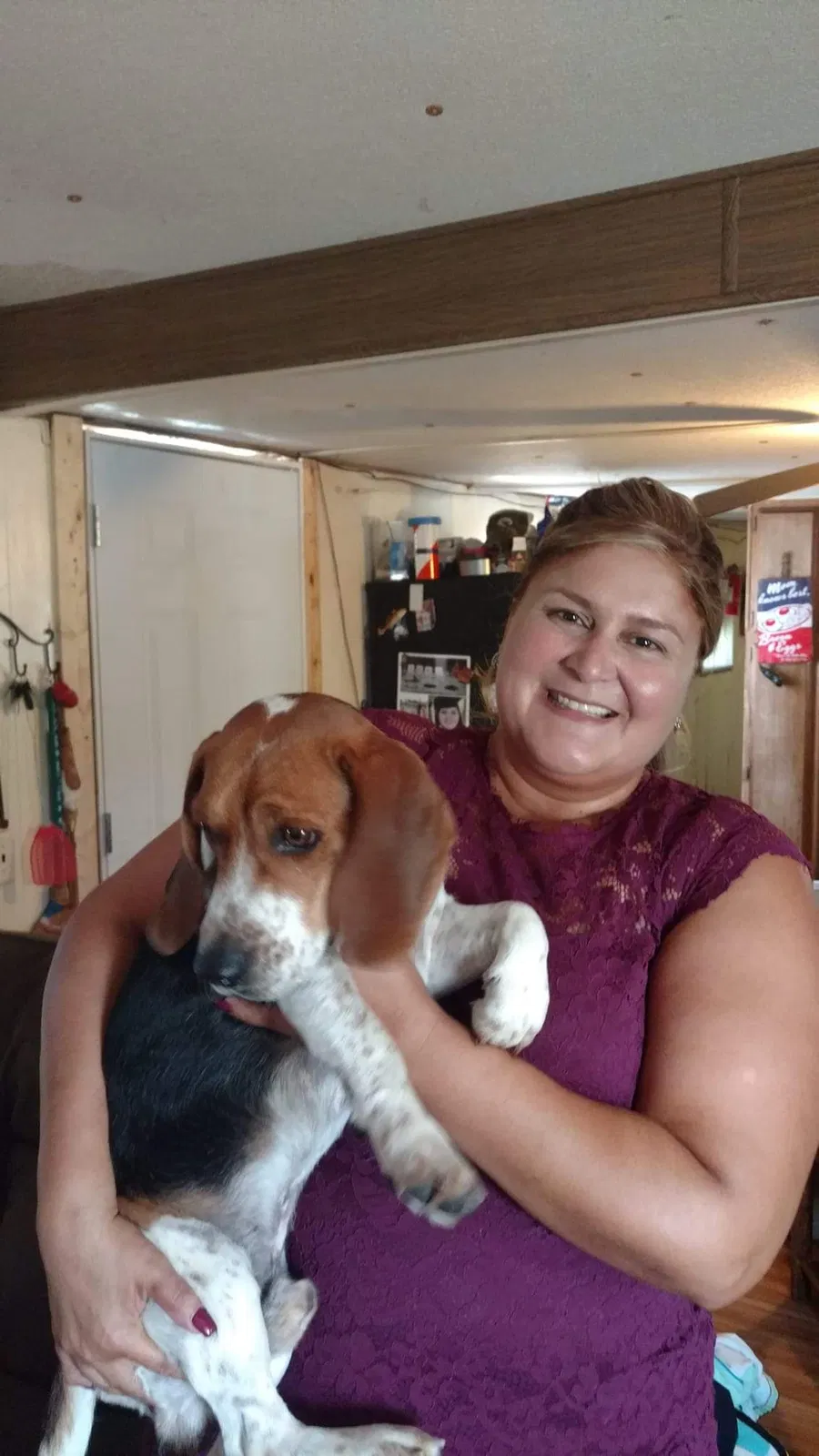 Lost dog in Brownsville, TX, 78520