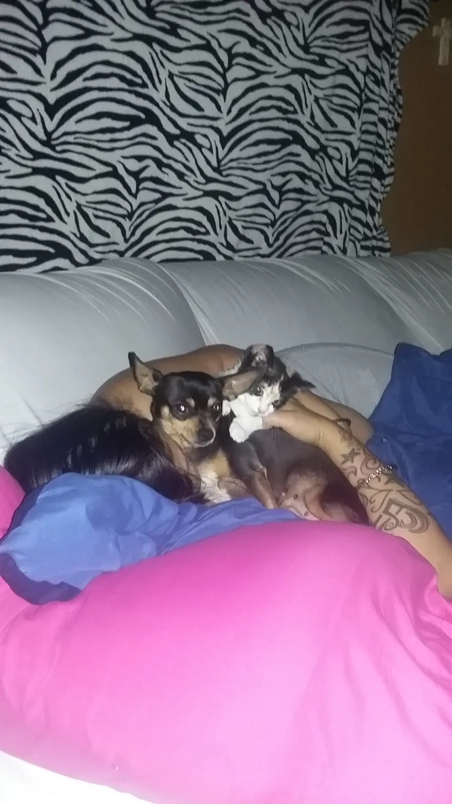Lost dog in Lumberton, NC, 28358