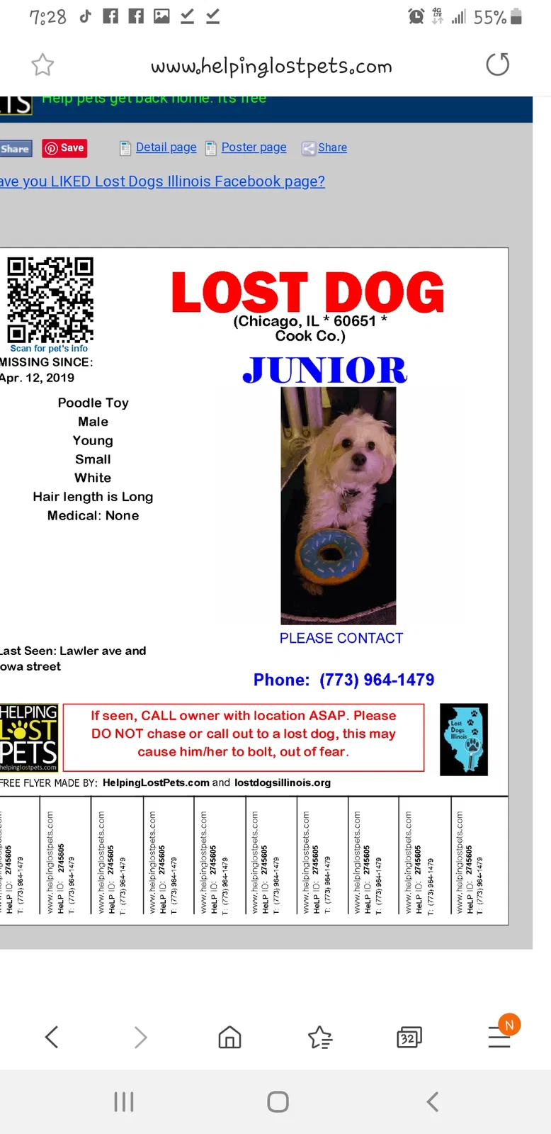 Lost dog in Chicago, IL, 60651