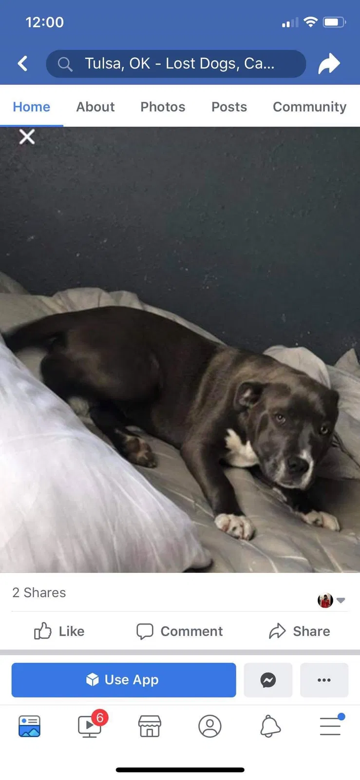 Lost dog in Tulsa, OK, 74112