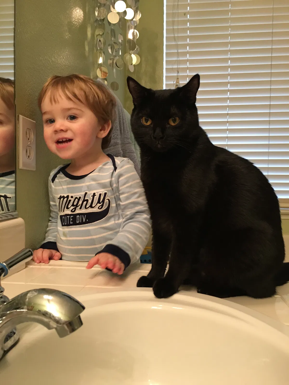Lost cat in Roseville, CA, 95678