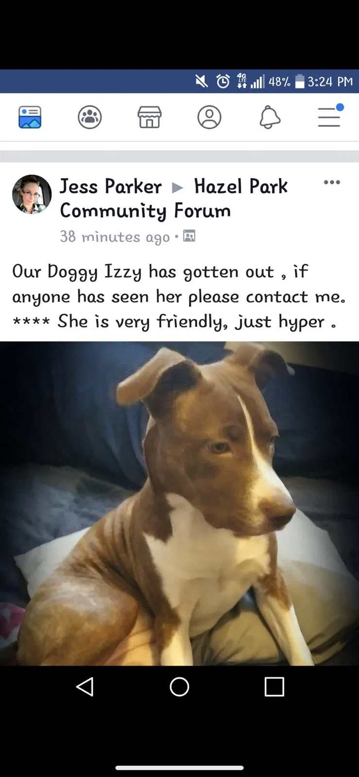 Lost dog in Ferndale, MI, 48220