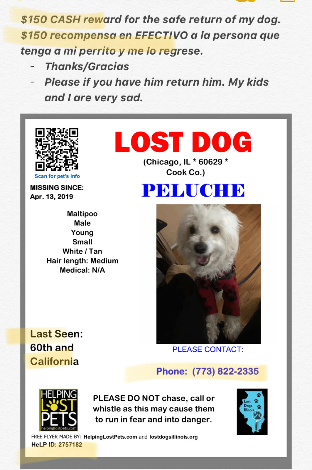 Lost dog in Chicago, IL, 60629