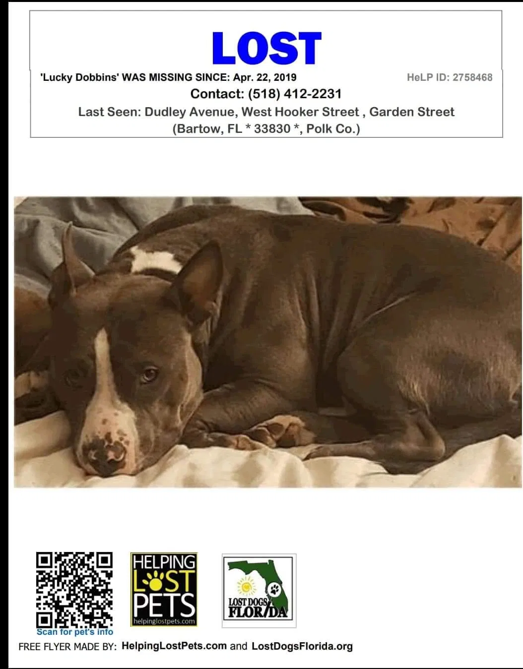 Lost dog in Bartow, FL, 33830
