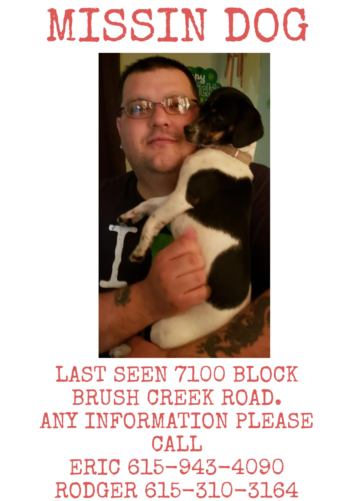 Lost dog in Fairview, TN, 37062