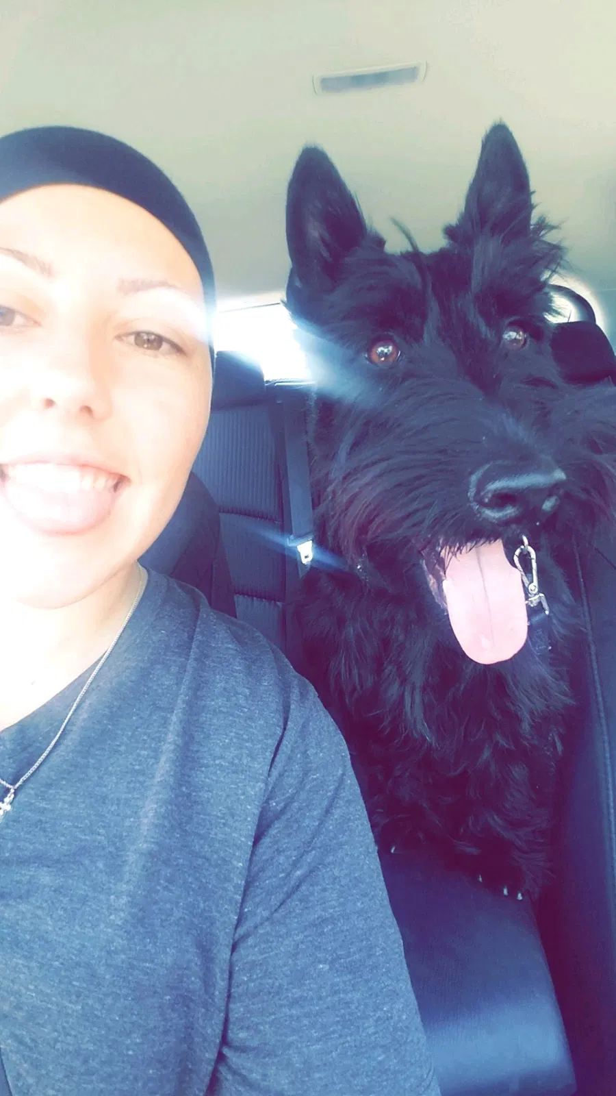 Lost dog in Bakersfield, CA, 93309