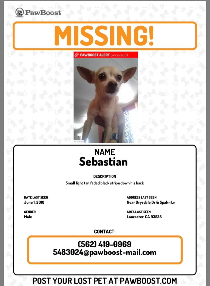 Lost dog in Lancaster, CA, 93534