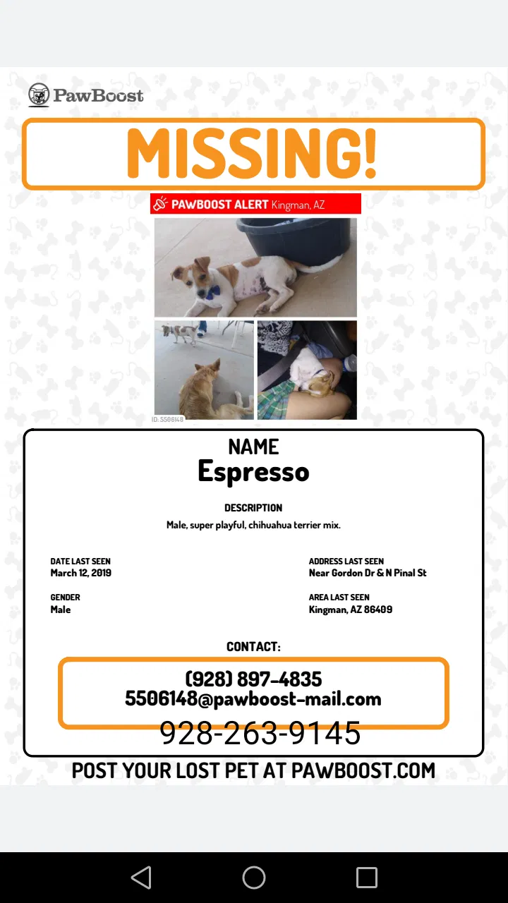 Lost dog in Kingman, AZ, 86409