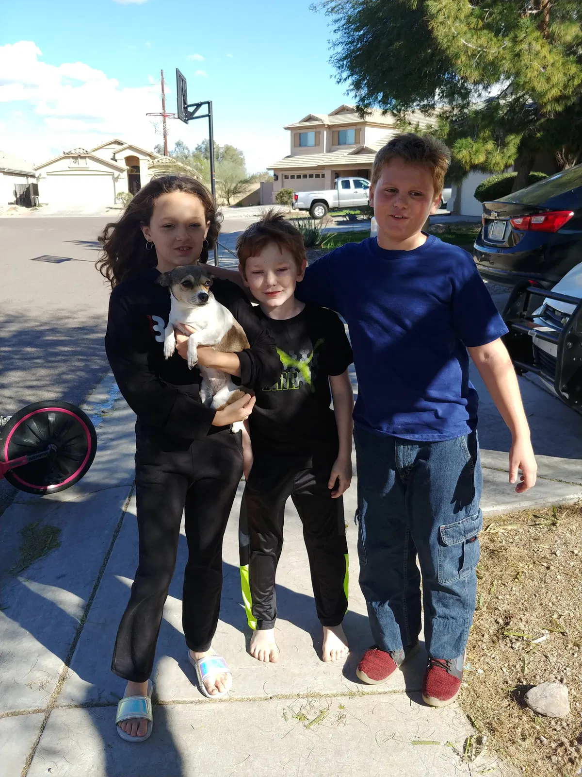 Lost dog in Tempe, AZ, 85281