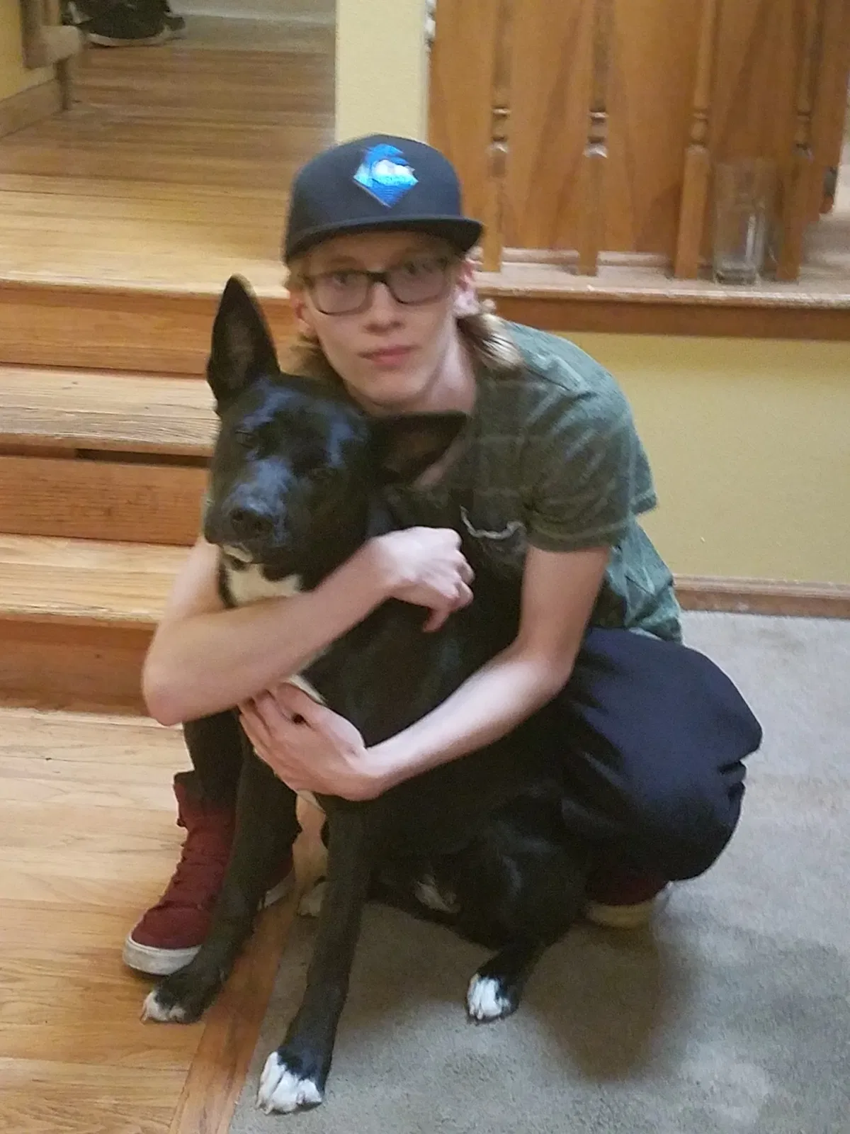 Lost dog in Englewood, CO, 80112