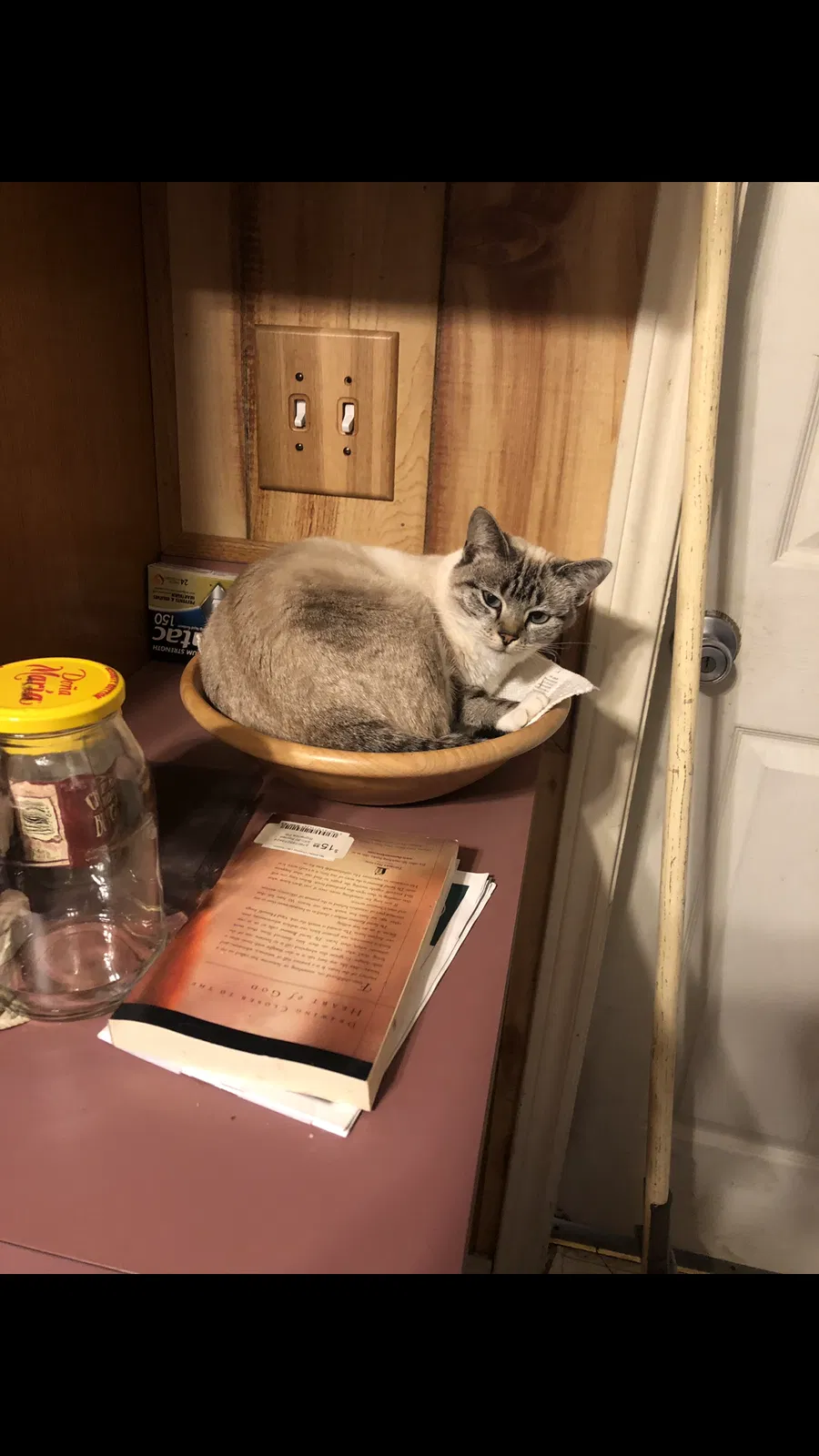 Lost cat in Wills Point, TX, 75169