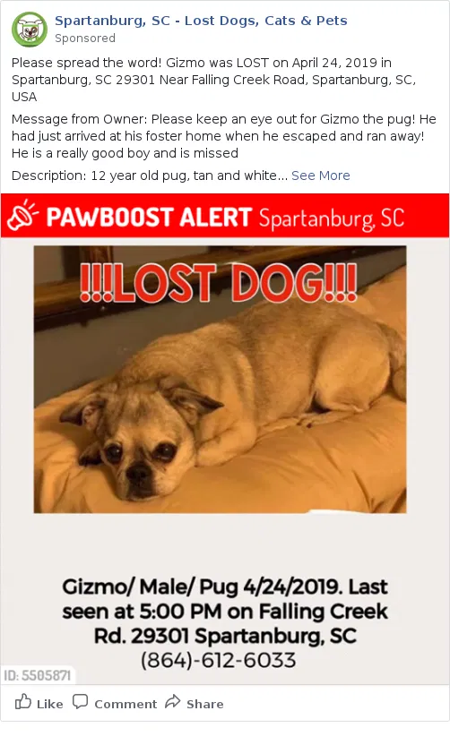 Lost dog in Spartanburg, SC, 29301