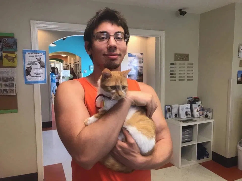 Lost cat in Virginia Beach, VA, 23452
