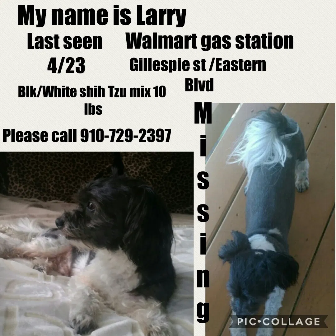 Lost dog in Fayetteville, NC, 28306