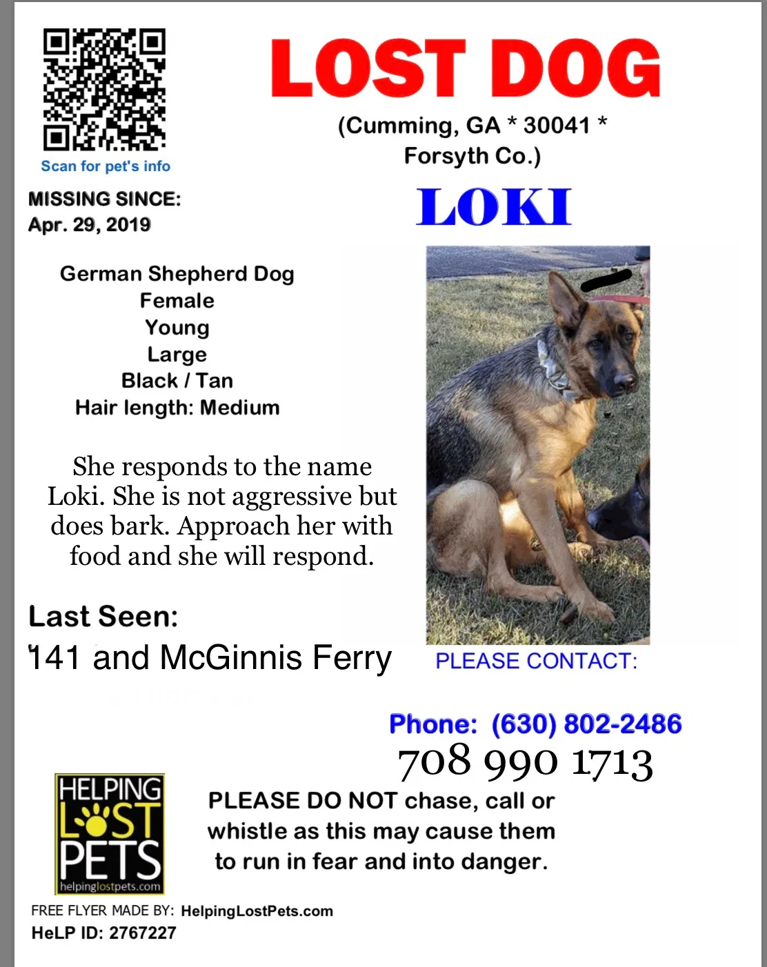 Lost dog in Cumming, GA, 30041