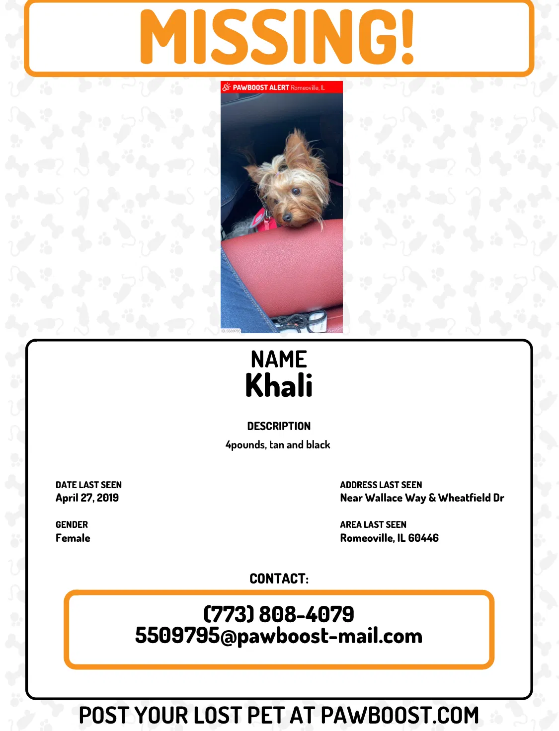 Lost dog in Romeoville, IL, 60446