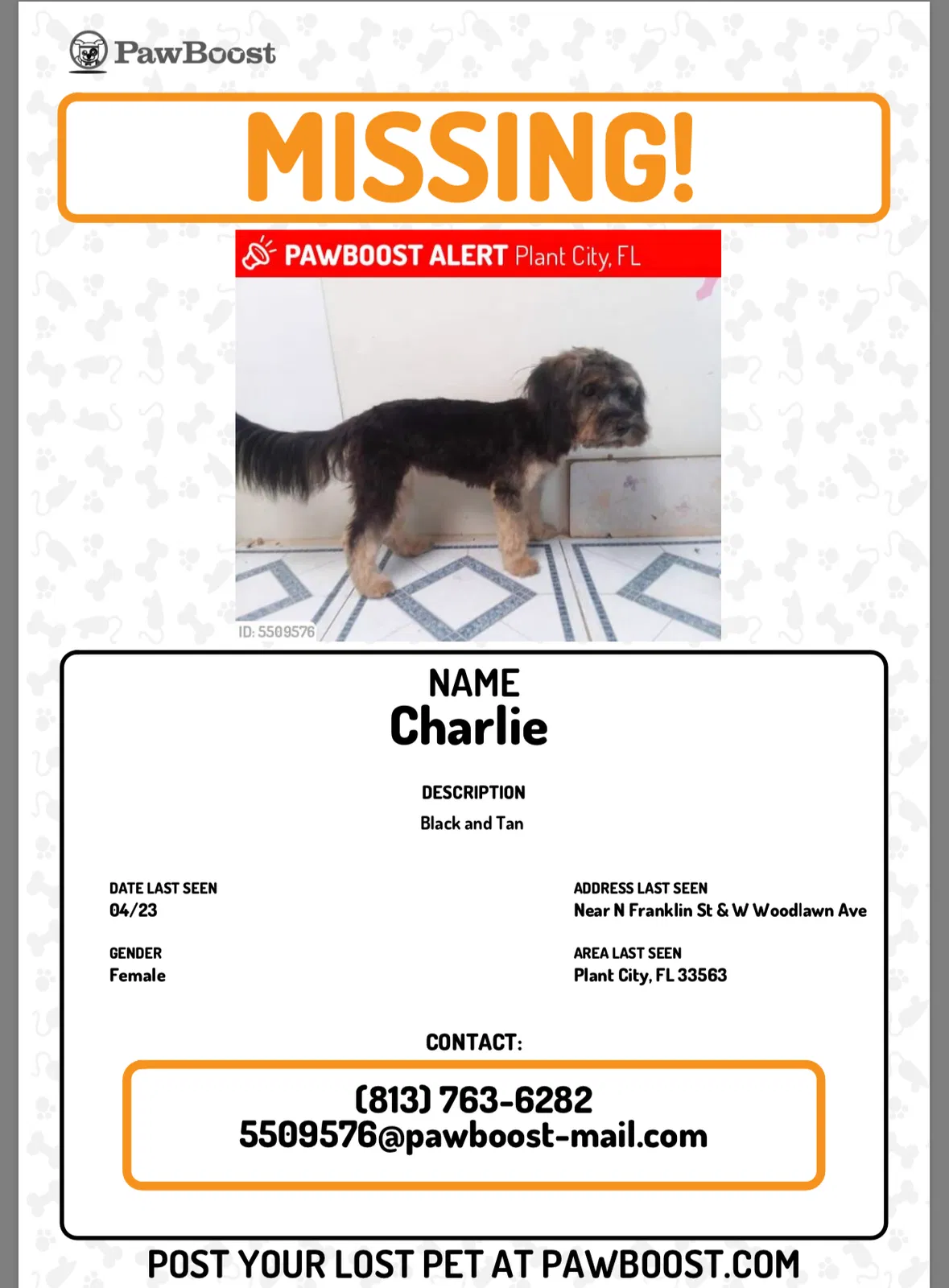 Lost dog in Plant City, FL, 33563