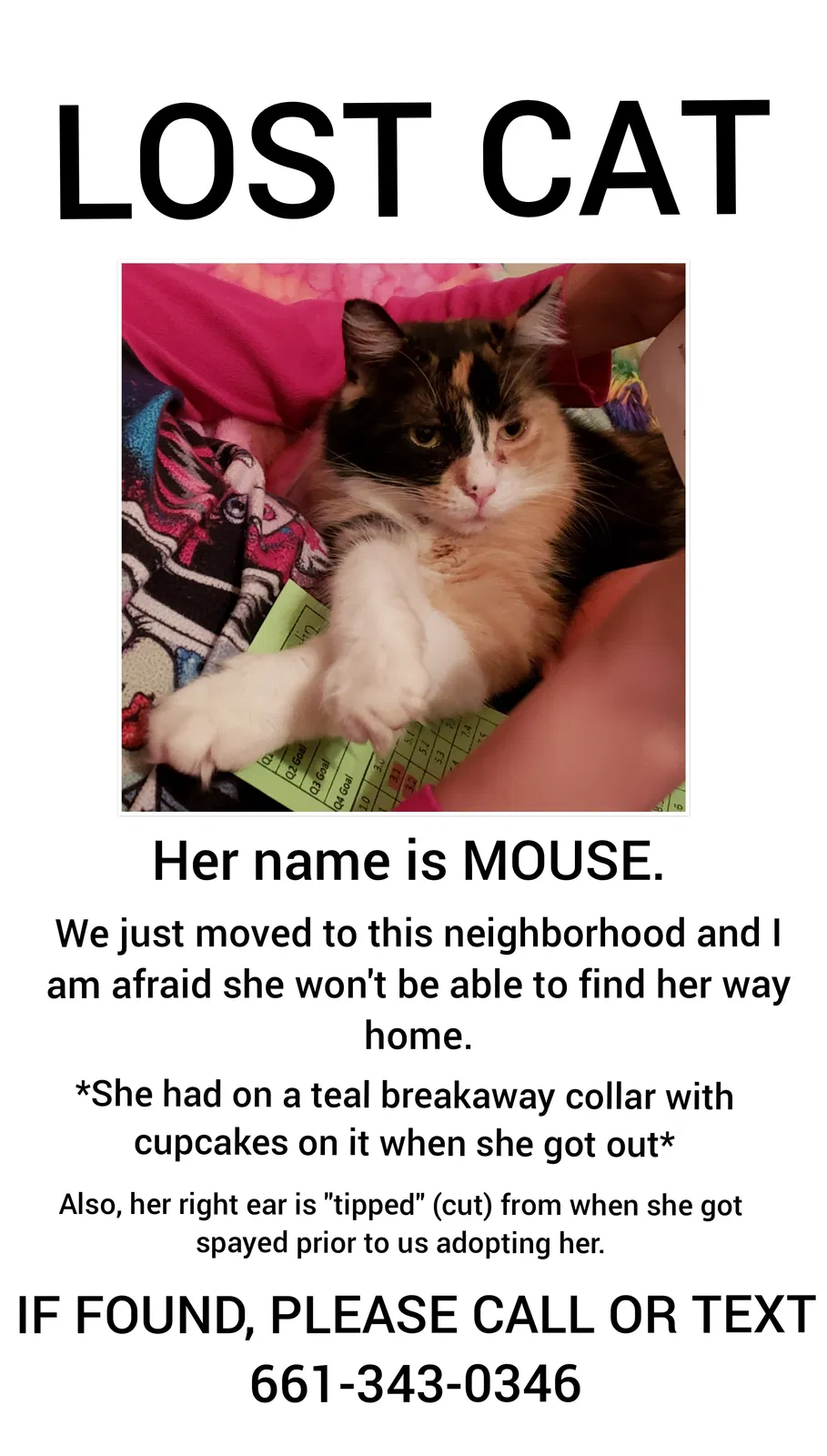 Lost cat in Bakersfield, CA, 93312