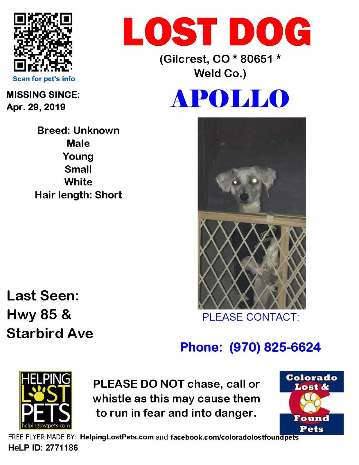 Lost dog in Gilcrest, CO, 80623