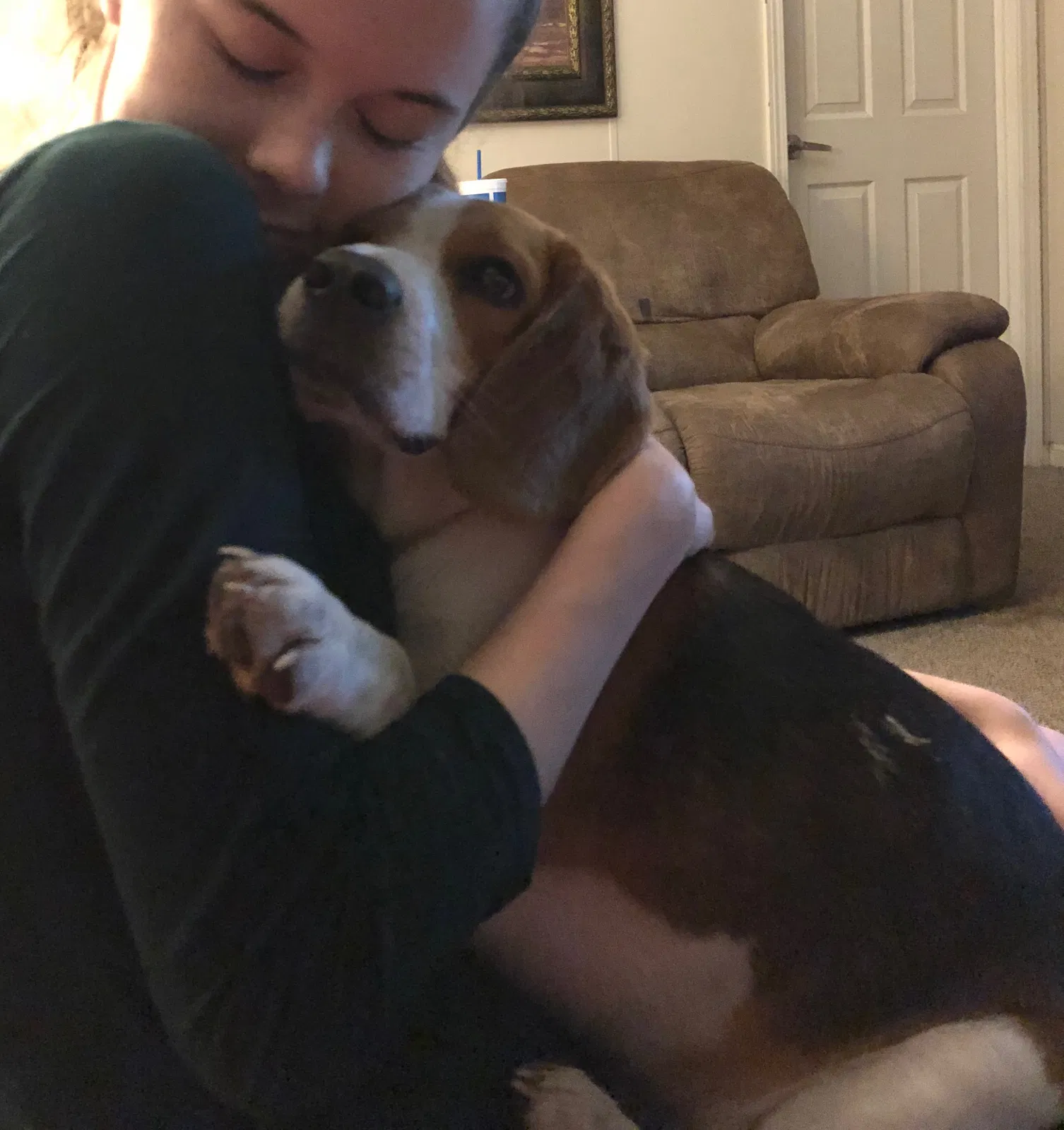 Lost dog in Alachua, FL, 32615