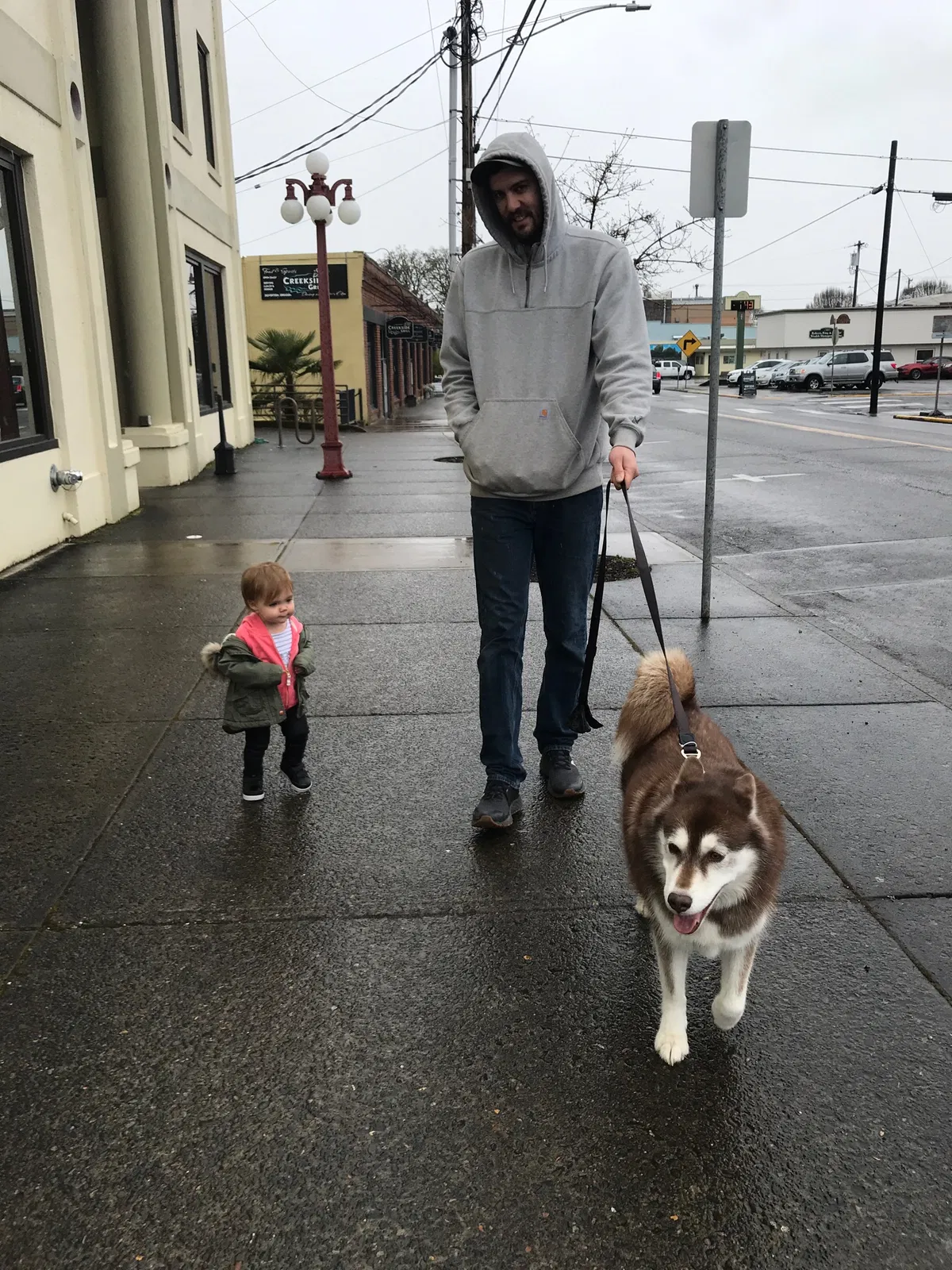Lost dog in Wilsonville, OR, 97070