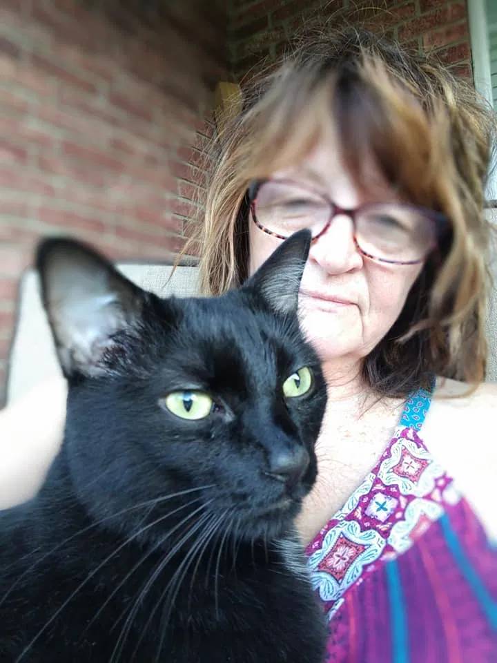 Lost cat in Temple, TX, 76502