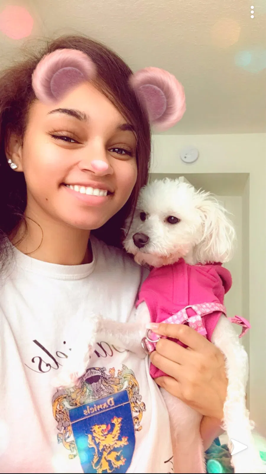 Lost dog in Norfolk, VA, 23503