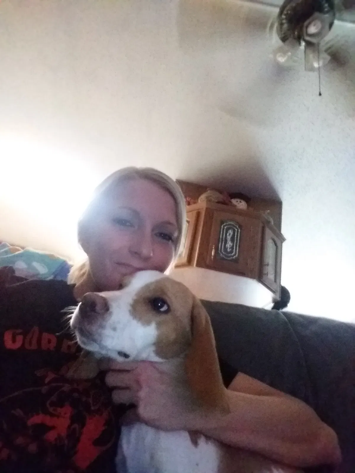 Lost dog in Union City, PA, 16438